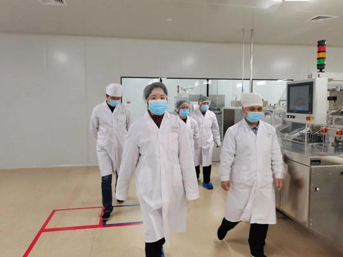 春節護航 區市場監管局全面開展保健食品節前大檢查